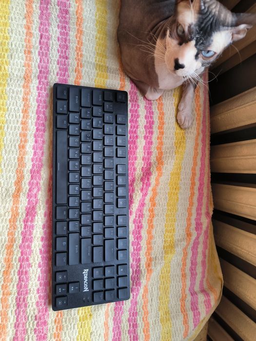 Redragon Anubis mechanical keyboard
