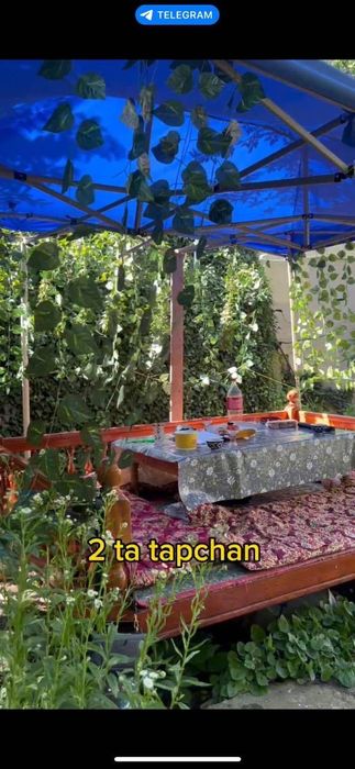 Чорбог дача Сотилади ва кунлик ижарага берилади 800000