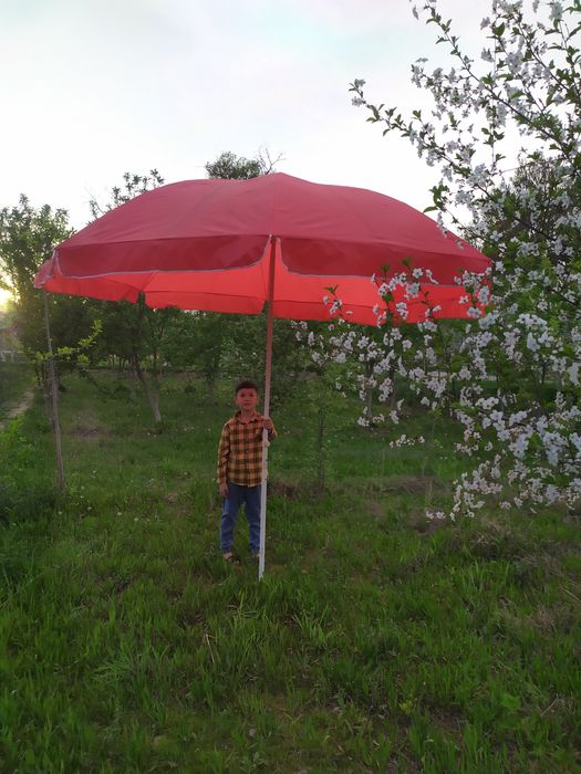 Zontik original sotiladi