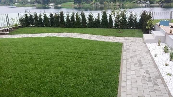 Gazon rulou rustic plasa anti cartita