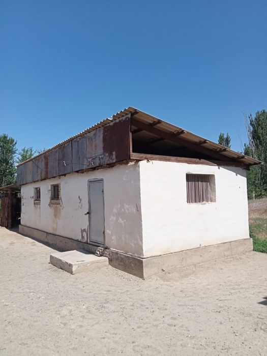 Продам дом в сельской местности