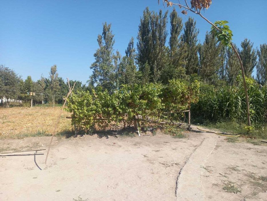 Үй сотилади шошилинч