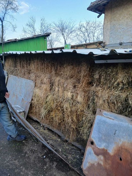 Baloti fan 2025 25 kg