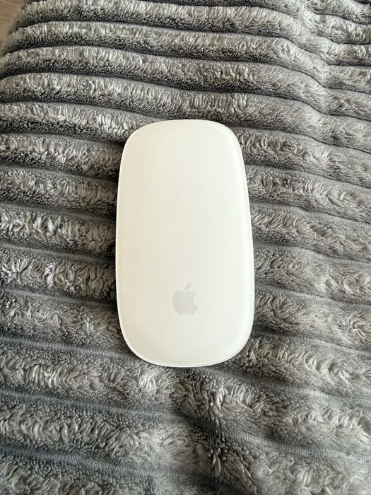 Magic mouse 2