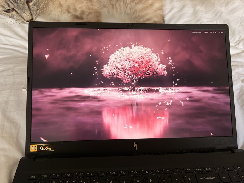 [Acer Nitro V15] - RTX 4050 • DDR5 Обслужен