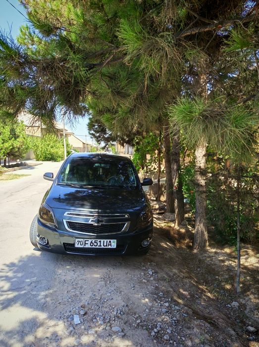 Cobult 2019  aybi yuq 20.30%kraskasi bor yurib turgan  moshin