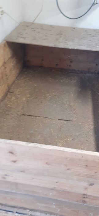 Vând lăzi pentru creșterea puilor.