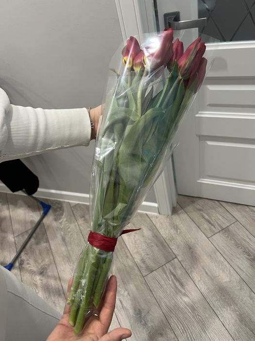 Тюльпан 8 штук свежие