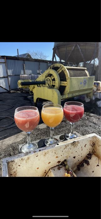 Vand must de calitate,prosus acasă,usor inasprit