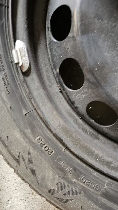 Jante skoda octavia 4 2022 205/60r16 Iarna
