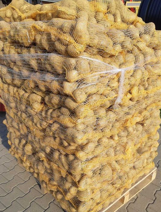 Vand cartofi consum,calibru 60+