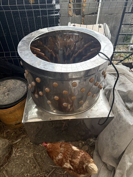 Deplunator pasari