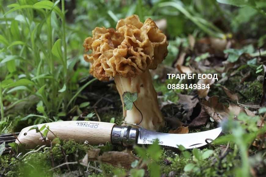 OPINEL нож за гъби ОПИНЕЛ N°08 Mushroom гъбарски Два варианта !