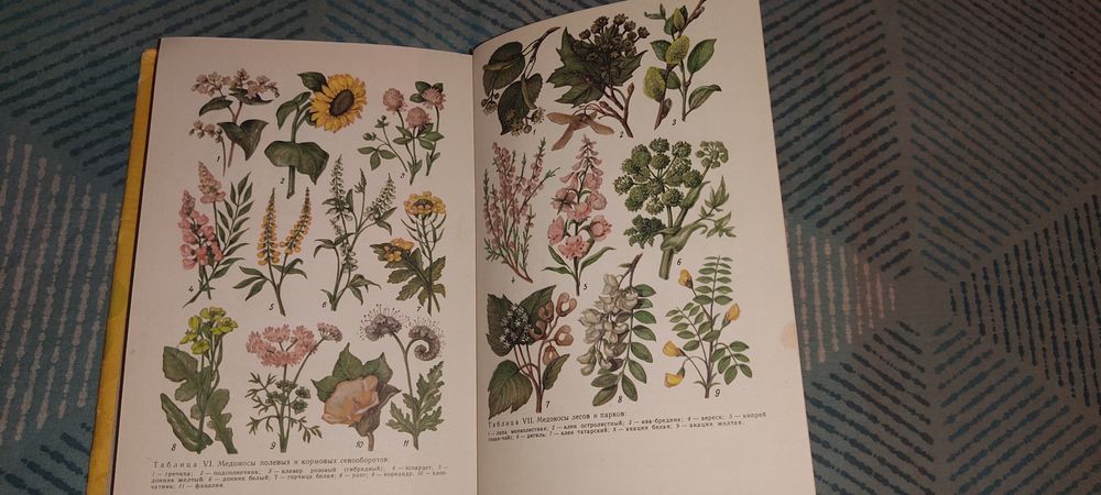 Учебник пчеловода