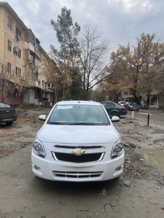 Cabalt с гарантией