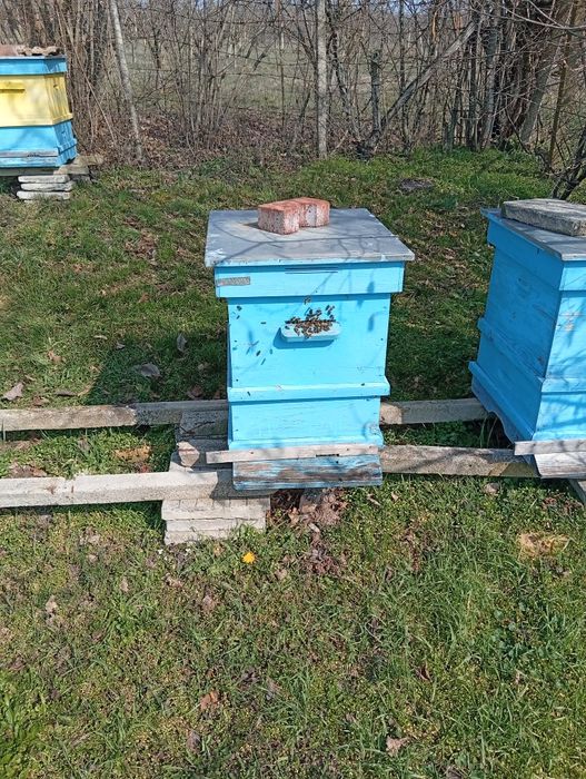 Продавам пчелни семейства