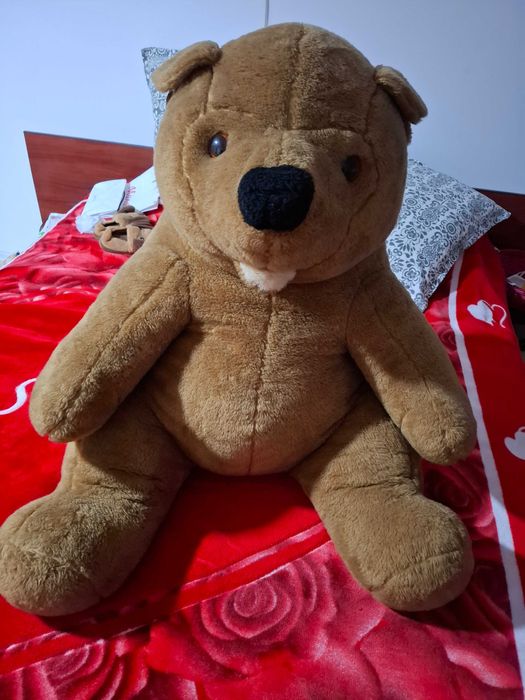 Urs de plus foarte mare