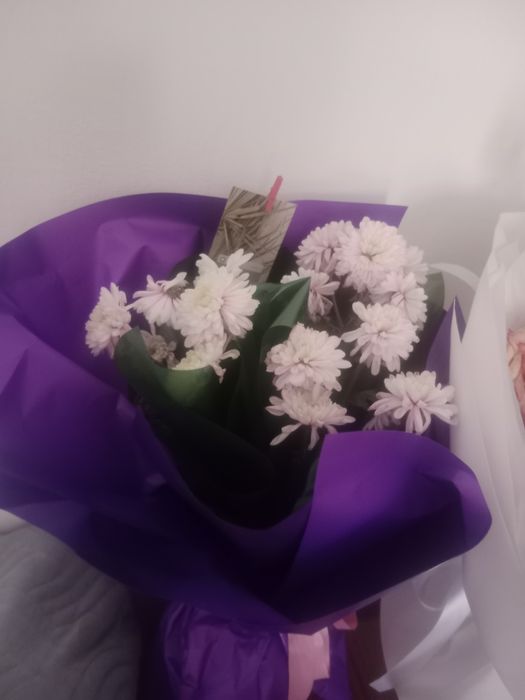 Продам цветы 2 дня