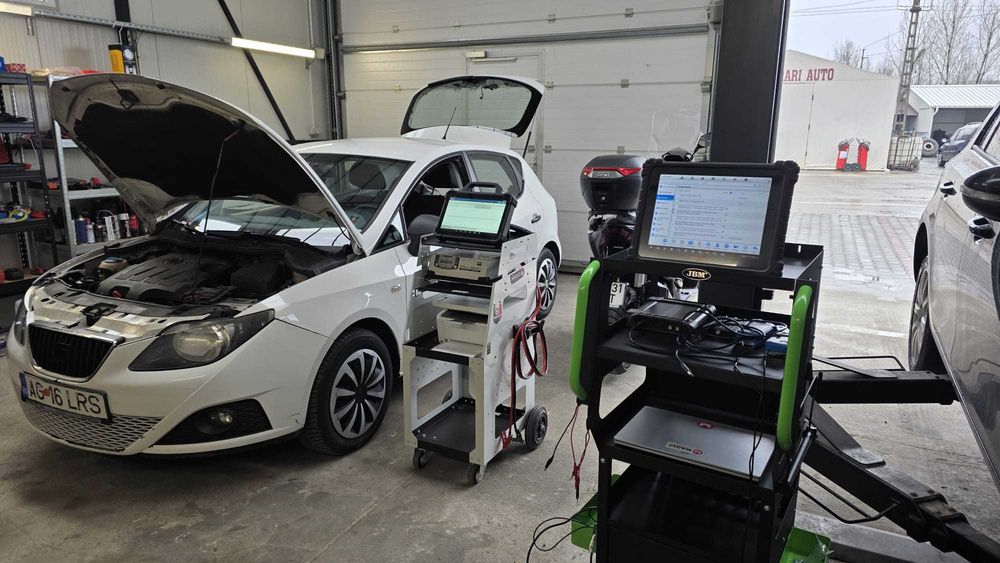 Diagnoza auto profesionala