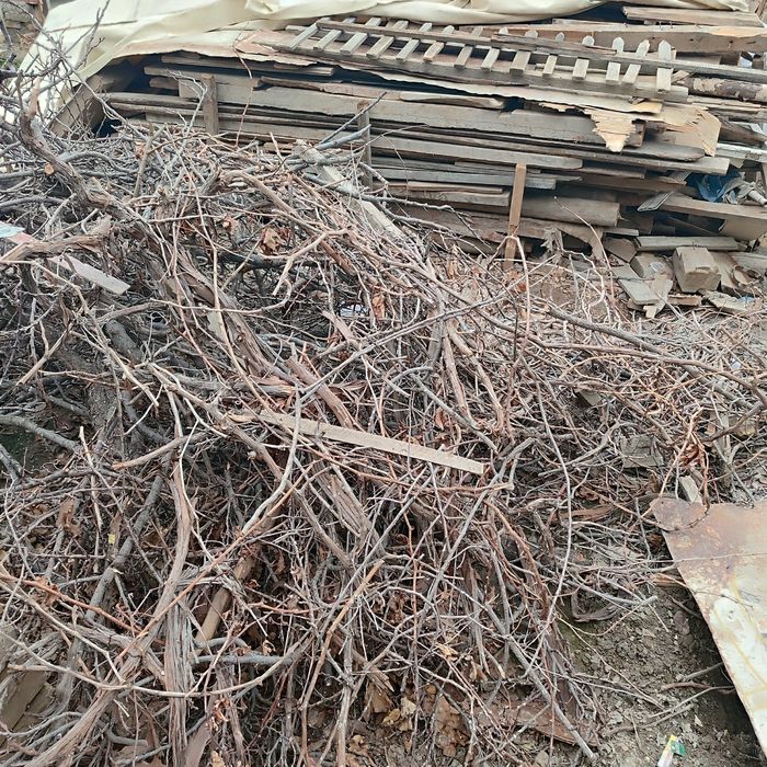 Чу́п болор хезим учун аралаш