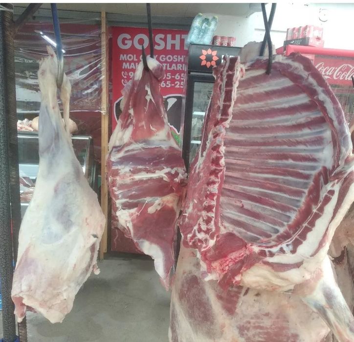 Qassop xzmati toshken