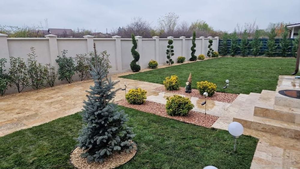 Amenajări grădini gazon și plante ornamentale