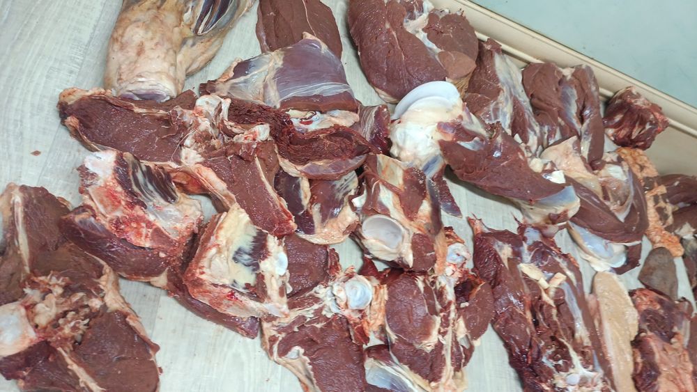 мясо гавадина даставка есть