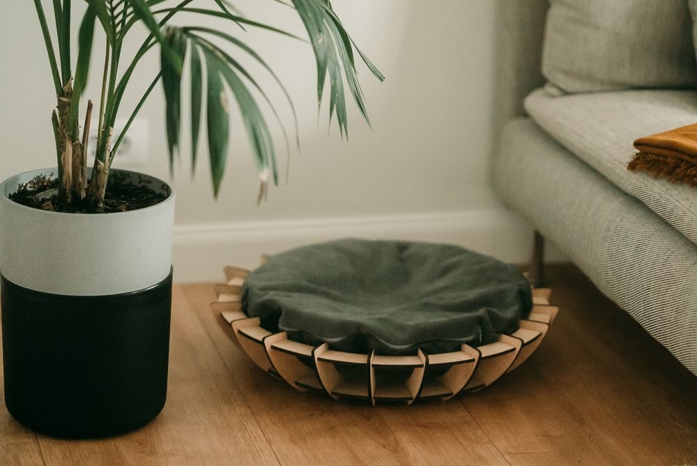 Pătuț pentru pisici și căței de talie mica