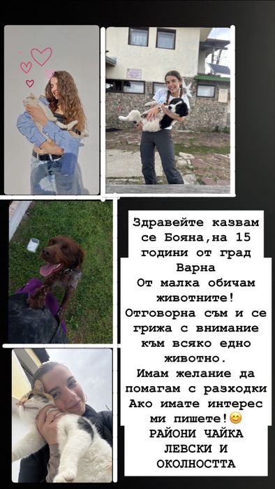 Разходка за кучета варна