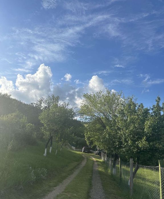 Продава се Парцел в с. Желява, Област София-град - 521 кв.м за 58 €/кв.м - Снимка #6