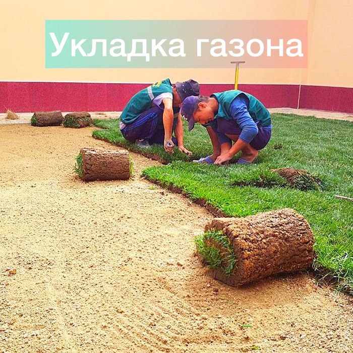 Рулонный газон доставка и укладка за один день