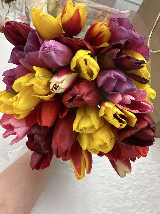 Свежие тюльпаны срочно