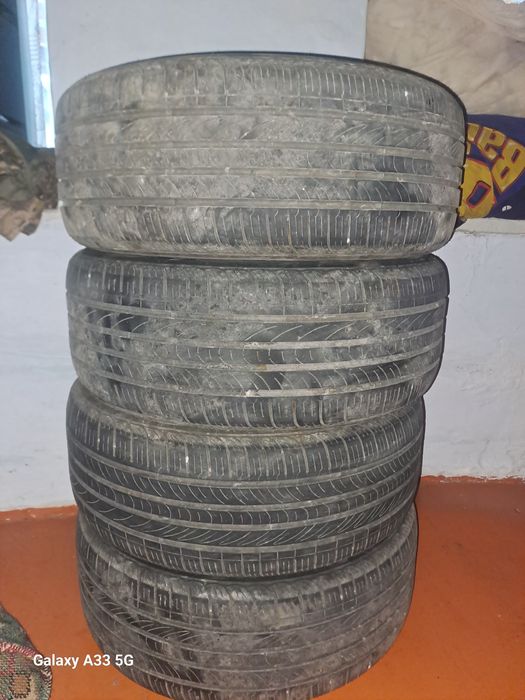 Японский болондар мягкии