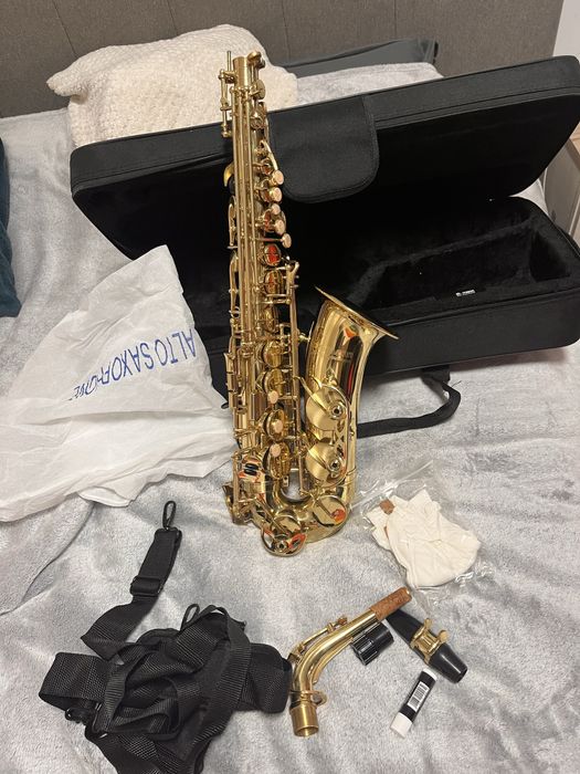 Saxofon Thomann Alto Tas - 180
