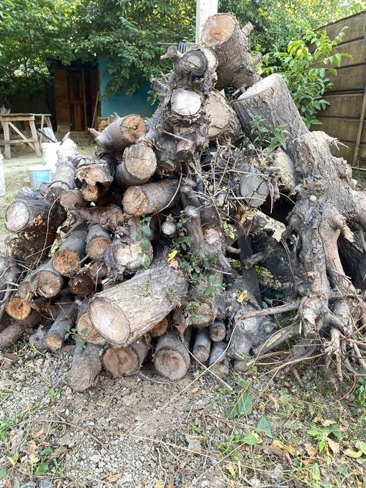 Дрова готовые для испрльзрвания