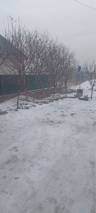 Продажа домов город жетиген