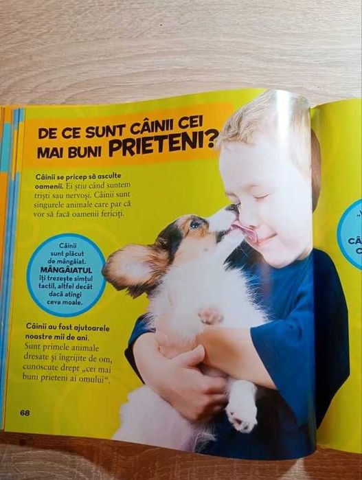 DE CE? Iată o întrebare