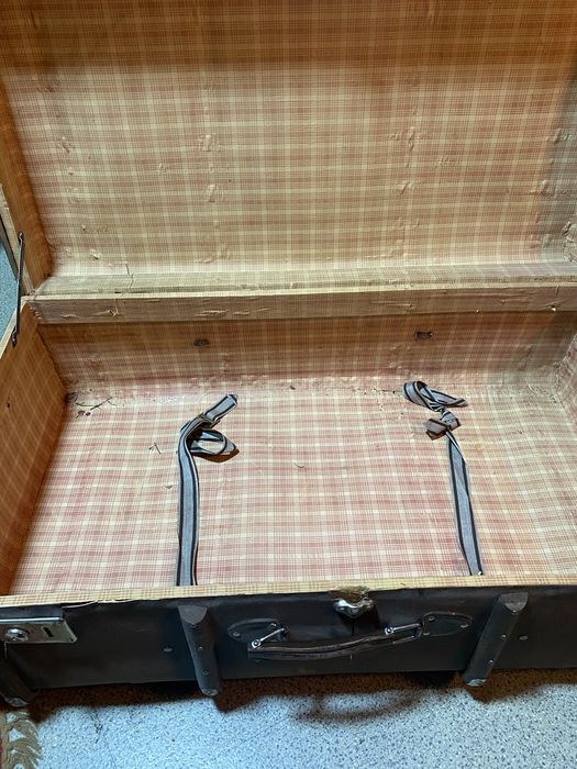 Аникаарный чемодан