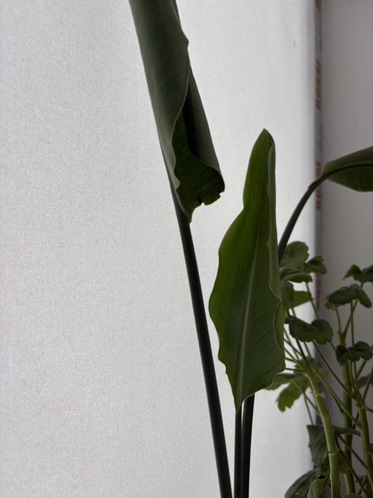 продам или обменяю