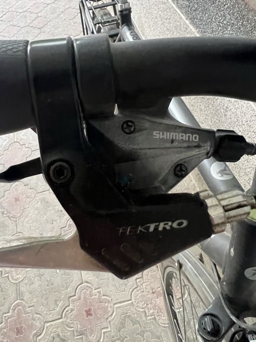 Pegasus solero made in Germany