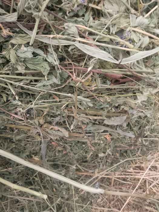 Baloți  de lucernă