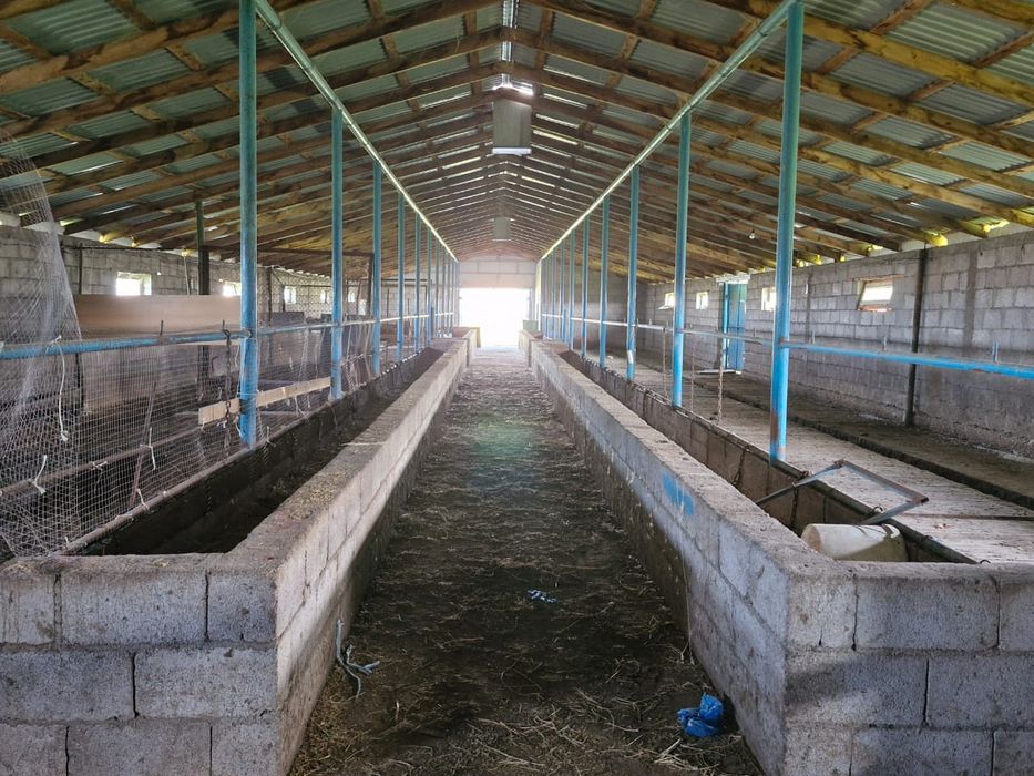 Продам фазенду 1 га