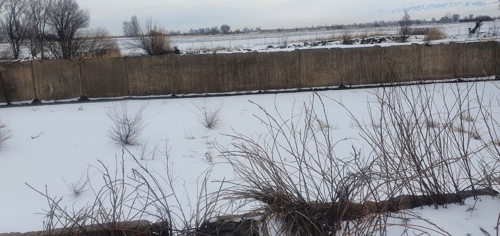 Силусная яма.  Для каровников