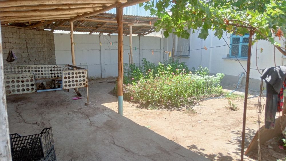 Уй сотилади Гулистон (Правда)