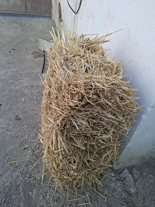 Бидай саман малга