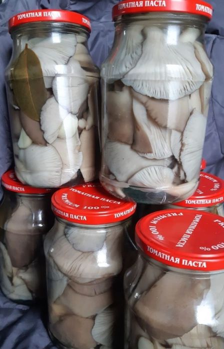 Продам маринованные грибы "Вешенка"