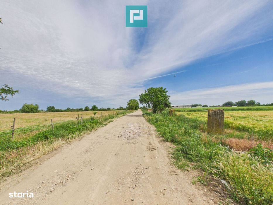 Teren extravilan 5000 mp, Arad