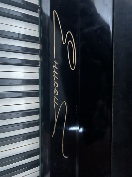 Продам Пиононо.