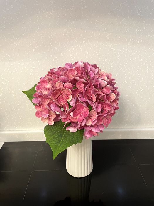 Гортензия интерьерная в вазе