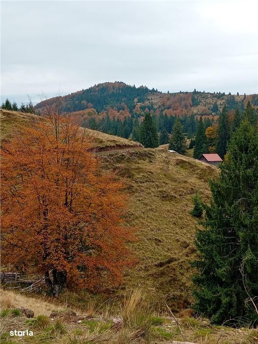 Teren extravilan la Cresuia, Stana de Vale